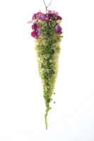 Flower A