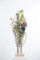 Flower B